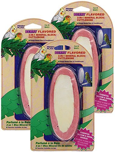 Penn-Plax Berry Flavored 2-in-1 Cuttlebone and Mineral Block Combo for Birds, 3 Pack
