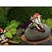 Top Collection Miniature Fairy Garden and Terrarium Gnome Playing Flute with Bird Statue
