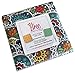 Nancy Halverson Bree 5X5 Pack 42 5-inch Squares Charm Pack Benartex