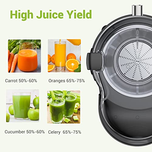 EASEHOLD Upgraded Juicer Machine, Centrifugal Juice Extractor for