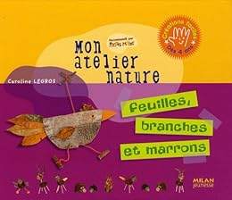 Feuilles, branches et marrons