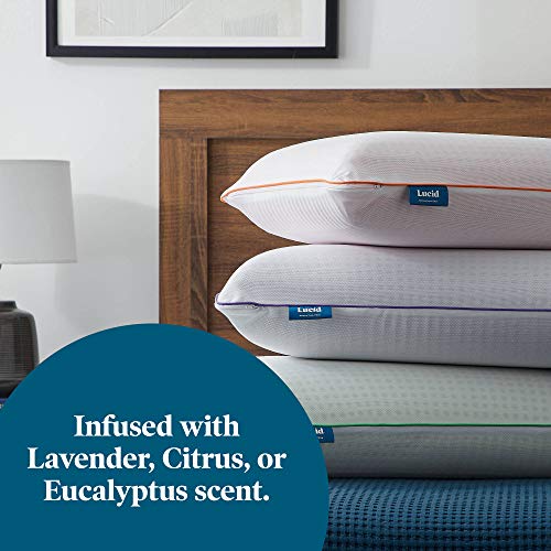 LUCID Eucalyptus Scented Refreshing Plush Memory FoamSide, Back, and