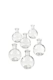 Serene Spaces Living Set of 36 Clear Ball Bud