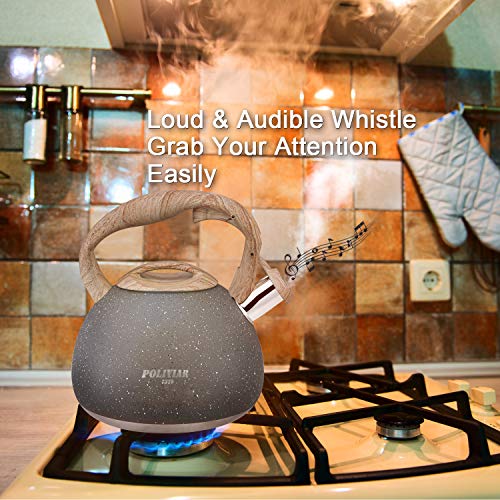 POLIVIAR 2.7 Quart Tea Kettle, Natural Stone Finish, Food Grade