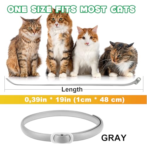 Collar for Cats, 4 Pack Collar for Kittens & Adult Cats, Adjustable & Waterproof Design (Grey)