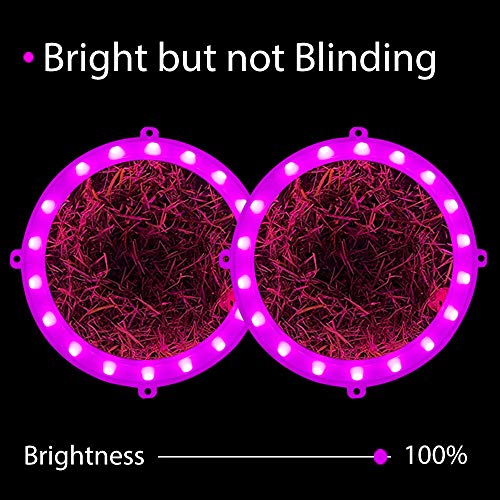 BLINNGO Cornhole Board Lights, Waterproof LED Cornhole Lights, Cornhole Toss Game Set fit for Standard Cornhole Boards(4ft x 2ft) (Pink(4 pcs Lights))