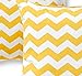 Greendale Home Fashions 17 in. Outdoor Accent Pillow (set of 2), Zigzag