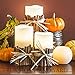 Frux Home and Yard 3 Piece Flickering Flameless LED Wax Pillar Candles Set with Remote Control and Bonus Ball Candle