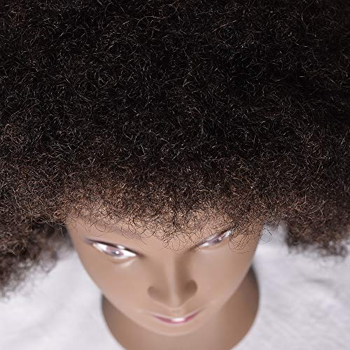 Afro Mannequin Head with 100 Human Hair, Cosmetology Afro Hair
