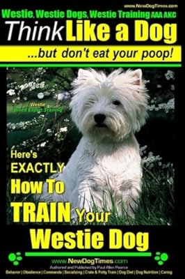 west highland terrier akc