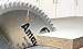 Amana Tool - MB10800 Carbide Tipped Double-Face Melamine 10