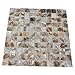 Art3d Shell Mosaic Tile White Square Mosaic Tile for Kitchen/Bathroom Backsplash, 12