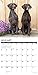 Just German Shorthaired Pointers 2019 Wall Calendar (Dog Breed Calendar)