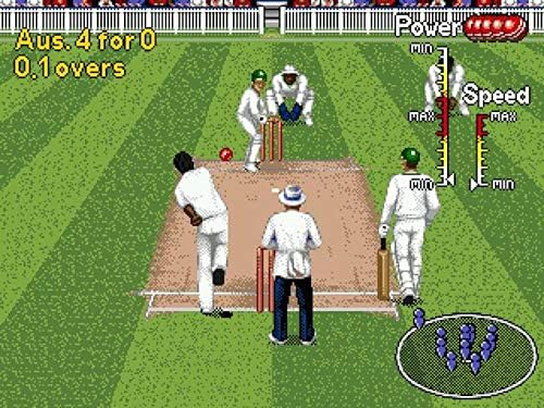 The Crowd Tradensen Brian Lara Cricket 16 Bit Md Game Card for Sega Mega Drive for Sega Genesis