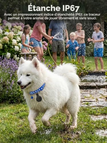 GPS Cat Collar, GPS Tracker Cat GPS Dog Compatible with iOS and Android, Real Time Positioning, No Subscription, 7 Day Trip Replay, IP67 Waterproof, Suitable for Cats/Dogs/Luggage, etc.