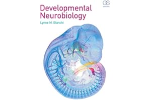 Developmental Neurobiology