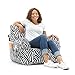 Big Joe Dorm Bean Bag Chair, Zebra