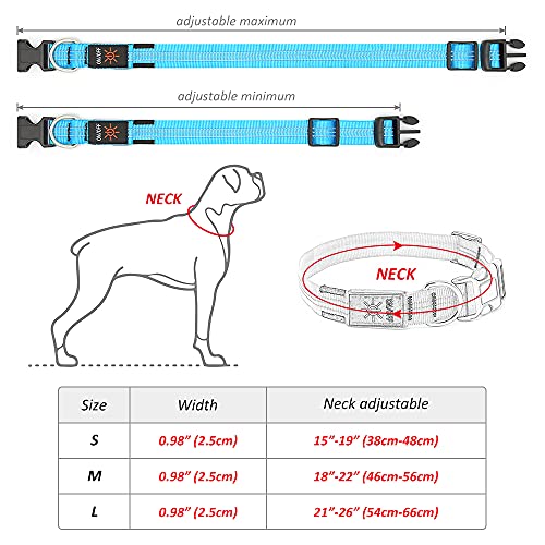PZRLit LED Dog Collar Light-USB Rechargeable, Adjustable Nylon Webbing Light Up Dog Collars Super Bright, Safety Reflective Puppy Collar, Water Resistant Ｇlow in the Ｄark Pet Collars-Blue, Large