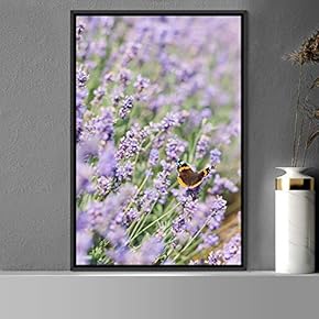 signwin Framed Canvas Wall Art Butterfly Expressive Farmhouse/Country...