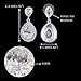 EVER FAITH Women's Cubic Zirconia Crystal Wedding Tear Drop Earrings Silver-Tone