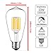 GEZEE 10W Edison Style Vintage LED Filament Light Bulb, 100W Incandescent Replacement,4000K,1000LM, E26 Medium Base Lamp, ST21(ST64) Antique Shape, Dimmable(3-Pack)