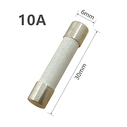YOLISTIC (Pack of 10) 10 Amp Slow-Blow Time Delay