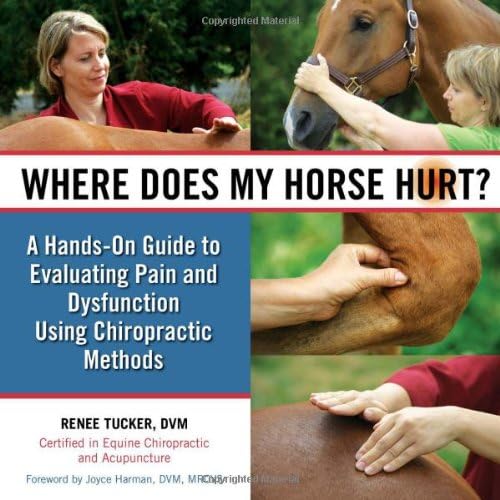 Download Where Does My Horse Hurt?: A Hands-On Guide to Evaluating Pain and Dysfunction Using Chiropractic Methods PDF