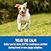 Comfort Zone Adaptil Collar, Large Dog, 1 Pack, for Dog Calming