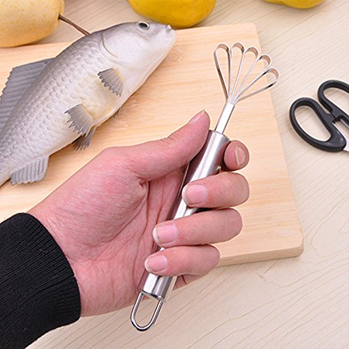 Merssavo Stainless Steel Fruit Coconut Shaver Fish Scales Scraper Home Kitchen Gadget