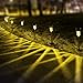 SUNNEST Solar Garden Lights Outdoor 12 Pack, LED Solar Powered Pathway Lights, Stainless Steel Landscape Lighting for Lawn, Patio, Yard, Walkway, Driveway Warm White
