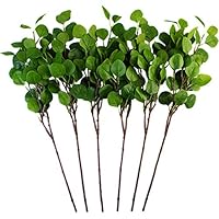 Seanmi Artificial Eucalyptus Leaves, 6 Pcs Faux Dried Silver Dollar Eucalyptus Garland Branches Stems, Fake Greenery Decor Plastic Plants for Decoration (25.6 Inches Tall, Green)