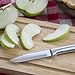 Rada Cutlery Everyday Paring Knife – Stainless Steel Blade With Aluminum Handle Made in USA, 6-3/4 Inches