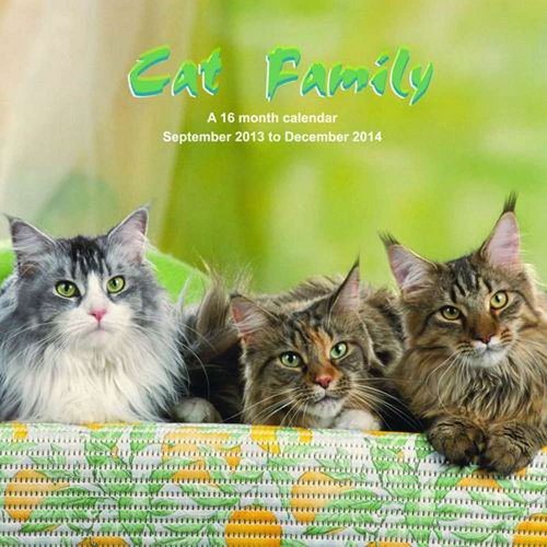 Cat Family 2014 Wall Calendar
