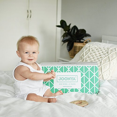 Joonya, Baby Wipes, 12 Pack of 80 ct