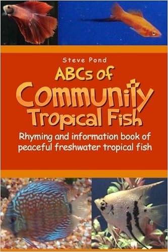 community tropical fish