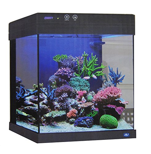 Cubey JBJ 20 Gallon Black Aquarium