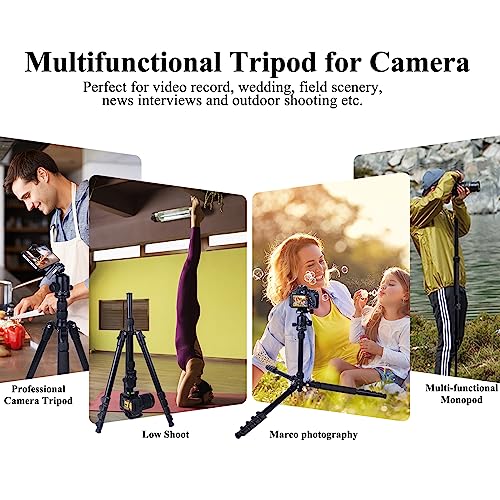 Tripod for Camera, Regetek 75" Camera Tripod Stand, 75 inches DSLR