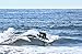 SBBC - 6’8 Soft Top Surfboard - || 6ft 8in Casper || - Fun Performance Hybrid Foam Surfboards | Great Surf Boards for All Surfing Skill Levels