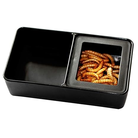 Amazon Com Globaldeal Plastic Pet Insect Reptile Breeding Live