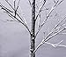 Ecolinear 4 Feet Snow Dusted Tree 48 LED Lights Warm White for Holiday Decorations Xmas Indoor and Outdoor Use