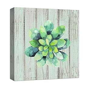 for Living Room Bedroom Home Artwork Paintings Succulent