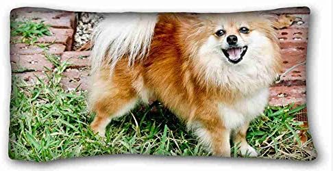 Custom ( Animals pomeranian dogs fluffy grass ) Pillow Cushion Case Cover One Sides Printed 20x36 Inches suitable for California King-bed PC-White-17738
