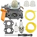 Mckin 308054043 Carburetor fits Ryobi RY28000 RY28020 CS26 RY28040 SS26 RY09053 RY28021 RY28025 RY28045 RY09056 RY09055 26CC Trimmer Brushcutter primary