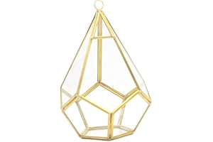 BOLOUY Five-Sided Rhombus Glass Rack Geometric Succulents Terrarium Suitable for Desktop Decoration Large Clear Moss Planter