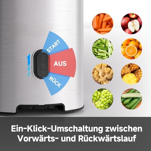 Entsafter - Slow Juicer mit 135 mm großem Einfüllschacht für ganzes Obst und Gemüse - Leicht zu Reinigen mit 2 Gläsern - Silber