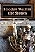 Hidden Within the Stones by Robin Martinez Rice