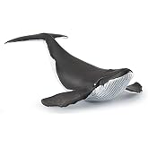 Papo Realistic Baby Whale Figurine, Marine World Collection, Kids Ages 3+ | Educational play about marine mammals | 14 x 9 x 4 cm | hand-painted | a truly great gift idea for the whole curious family