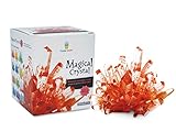 Magical Crystal Growing Kit - Ruby Red w T Samuel Treasure