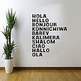 Vinyl Wall Art Decal - HOLA Hello Bonjour CIAO Word