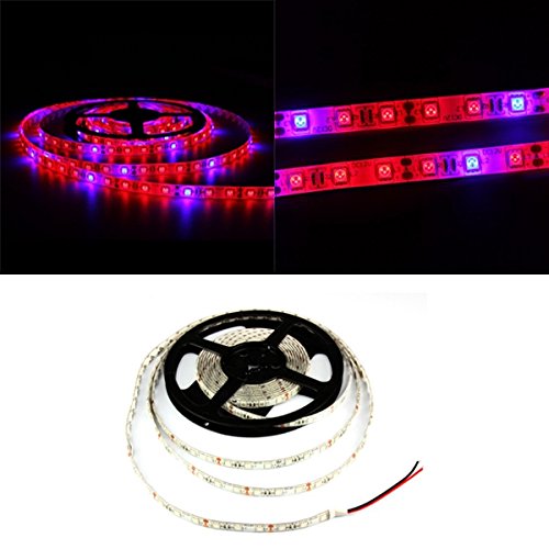 Led Grow Lights - 1m 2m 3m 4m 5m 3:1 5050 Smd Led Waterproof Hydroponic Plant Grow Strip Light Dc12v - Light Strip Waterproof Tape - Led - 1PCs